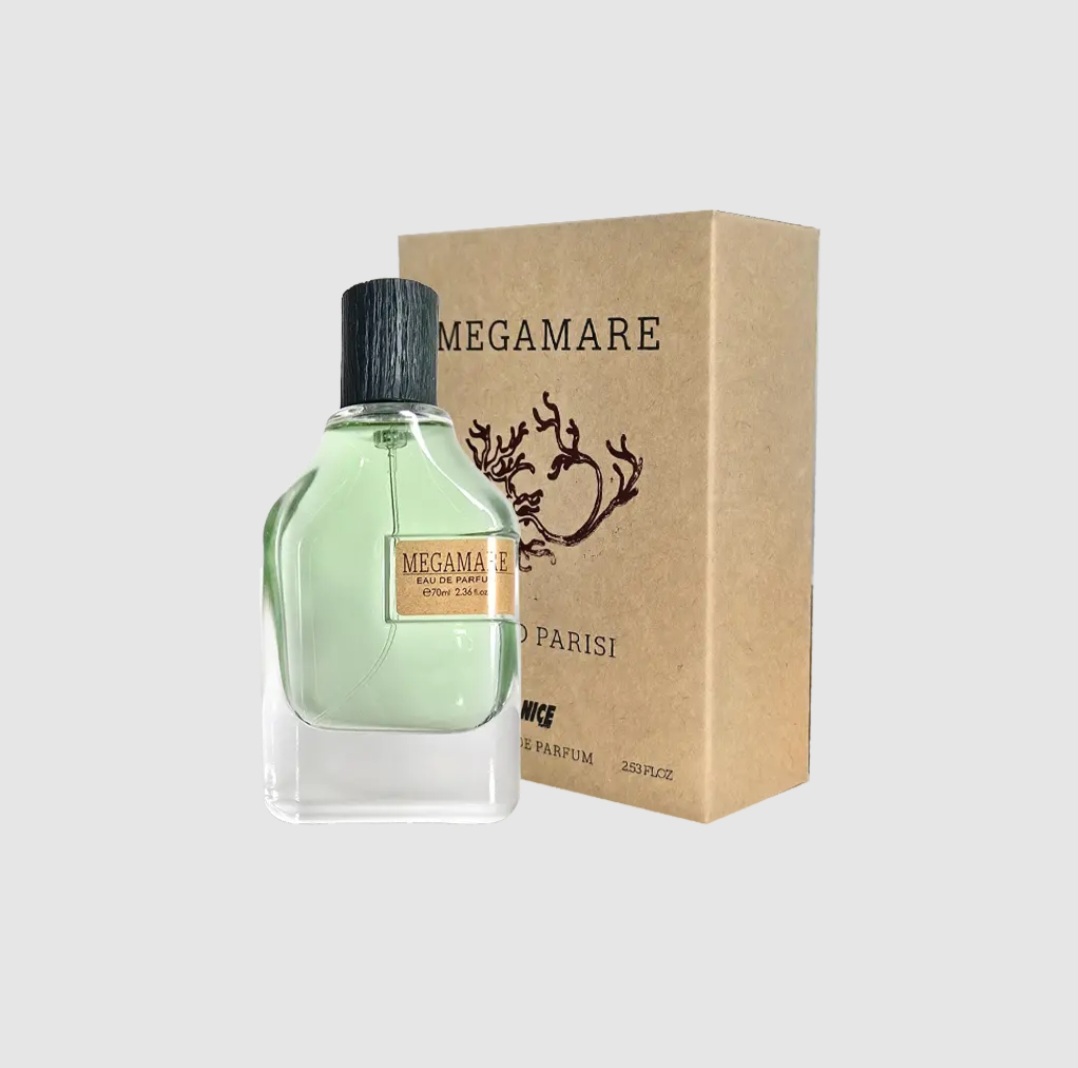 ادکلن مردانه ۱۰۰ میلی لیتر مگاماره -Megamare